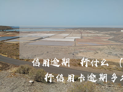 信用逾期銀行什么時(shí)候起訴-欠銀行信用卡逾期多久會(huì)被起訴
