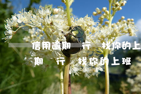 信用逾期銀行會找你的上班單位嗎-信用逾期銀行會找你的上班單位嗎是真的嗎