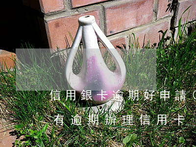 信用銀卡逾期好申請(qǐng)信用卡嗎(有逾期辦理信用卡)