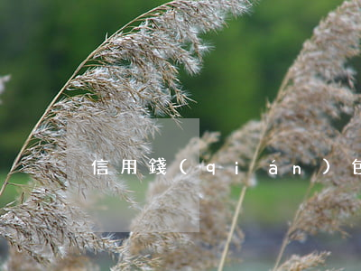 信用錢(qián)包白條逾期征信嗎