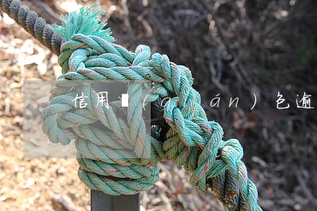 信用錢(qián)包逾期二十多天