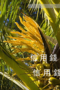 信用錢(qián)包逾期沒(méi)還(信用錢(qián)包無(wú)法還款)