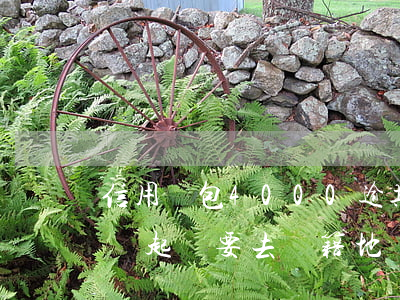 信用錢包4000逾期起訴(信用錢包逾期了說起訴要去戶籍地調(diào)查)