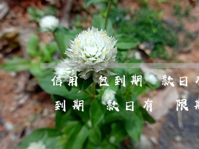 信用錢包到期還款日有寬限期嗎-信用錢包到期還款日有寬限期嗎怎么算