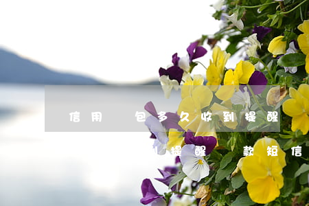 信用錢包多久收到提醒還款短信-信用錢包多久收到提醒還款短信通知