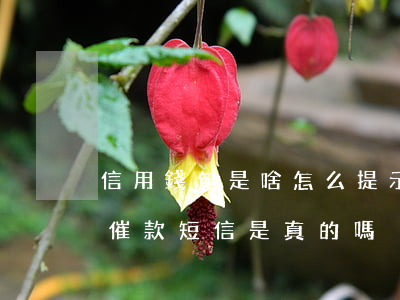 信用錢包是啥怎么提示我還款呢-信用錢包催款短信是真的嗎