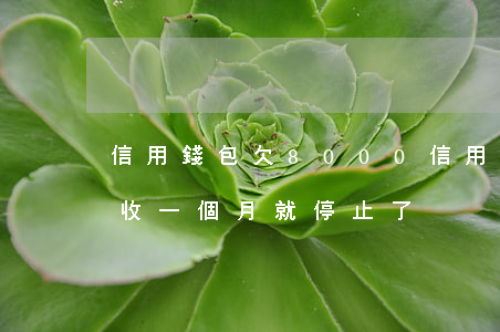 信用錢包欠8000(信用錢包欠款一萬二催收一個月就停止了)