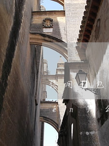 信用錢包欠8000會(huì)上門(mén)么(信用錢包上門(mén)是真的嗎)