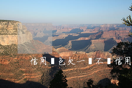 信用錢包欠一萬不還(信用錢包還不起怎么辦)