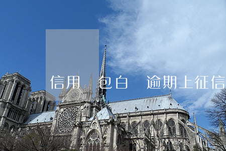 信用錢包白條逾期上征信嗎(白條 逾期 征信)