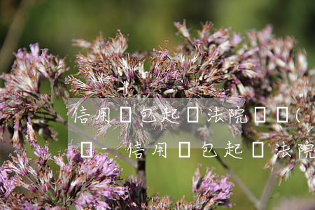 信用錢包起訴法院凍結(jié)了微信零錢-信用錢包起訴法院凍結(jié)了微信零錢怎么辦