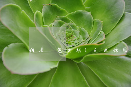 信用錢包逾期15天(信用錢包多久拒)