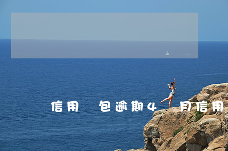 信用錢包逾期4個月(信用錢包多久拒)