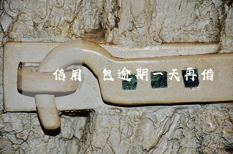 信用錢包逾期一天再借