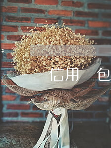 信用錢包逾期后再借(信用錢包還完可以再借嗎)