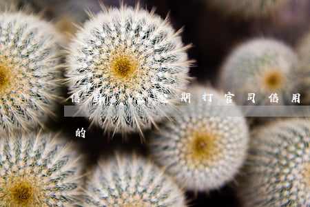 信用錢包逾期打官司(信用錢包要起訴我是真的嗎)