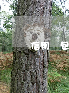信用錢包逾期還還款嗎(信用錢包還下款嗎)