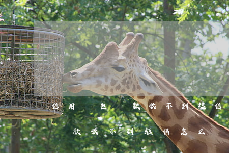 信用錢包還款收不到短信怎么辦-信用錢包還款收不到短信怎么辦呢