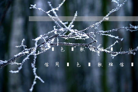信用錢包還款短信驗(yàn)證碼收不到-信用錢包還款短信驗(yàn)證碼收不到怎么回事