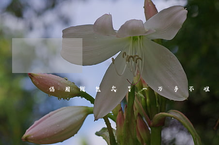 信用钱包欠了一万多不准备还了-
