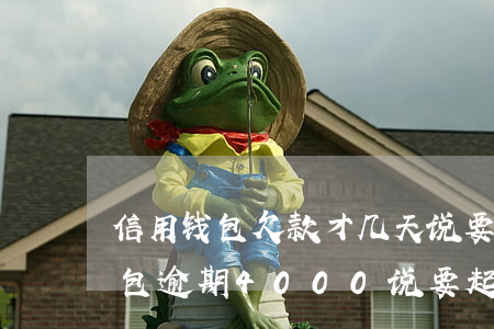 信用钱包欠款才几天说要立案起诉我（信用钱包逾期4000说要起诉）