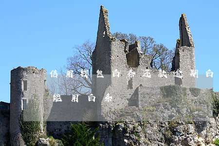 信用钱包白条还款逾期(白条逾期还款后几天能用白条)