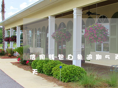 信用钱包白条逾期5天(白条20块钱逾期3天)