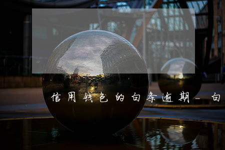 信用钱包的白条逾期-白条可以逾期嘛