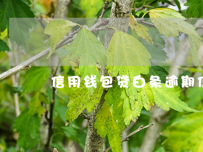 信用钱包贷白条逾期(信用白条还能下款吗)