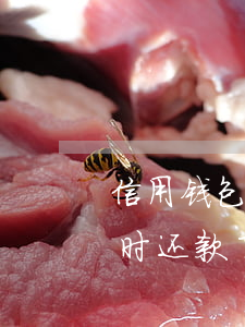 信用钱包逾期一个月了(信用钱包逾期一天及时还款了还会上征信吗)