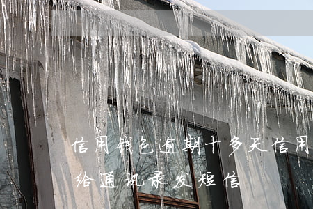 信用钱包逾期十多天(信用钱包逾期了几天就给通讯录发短信)