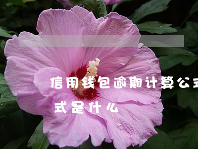 信用钱包逾期计算公式(信用钱包逾期计算公式是什么)