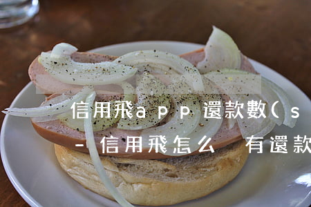 信用飛app還款數(shù)額都沒有了-信用飛怎么沒有還款記錄了