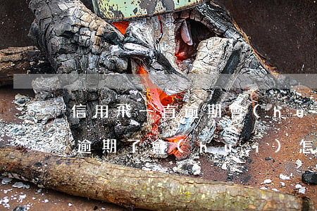信用飛一直逾期會(huì)如何-信用飛逾期了會(huì)怎么樣
