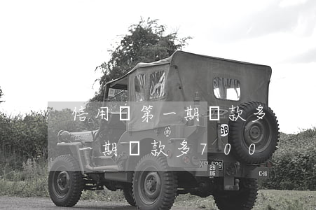 信用飛第一期還款多了2000-信用飛第一期還款多700