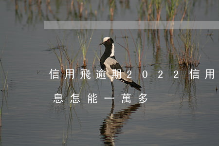 信用飛逾期2022(信用飛逾期了三個月利息怎能一萬多)