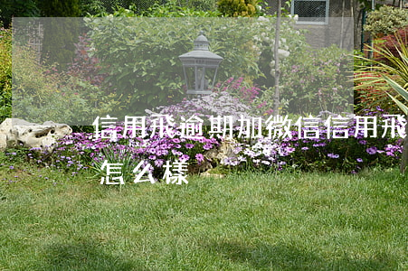 信用飛逾期加微信(信用飛逾期會(huì)怎么樣)