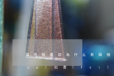 信用飛還款為什么有兩個(gè)賬號(hào)扣費(fèi)-信用飛扣款兩次
