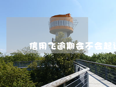 信用飞逾期会不会起诉(信用飞说要起诉我)