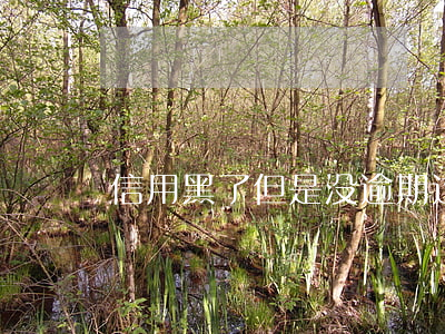 信用黑了但是没逾期过支付宝