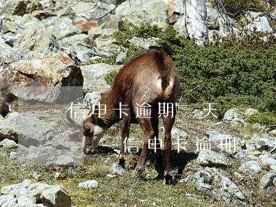 信申卡逾期幾天還錢會(huì)影響信用嗎-信申卡逾期幾天還錢會(huì)影響信用嗎