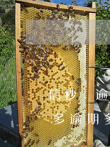 信秒貸逾期申請(qǐng)分期 信秒貸最多逾期多長(zhǎng)時(shí)間