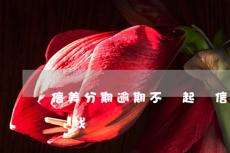 信美分期逾期不還起訴(信美分期不還會有人來找嗎)