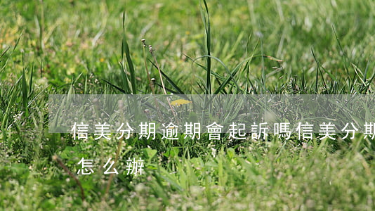 信美分期逾期會起訴嗎 信美分期說要起訴我 怎么辦