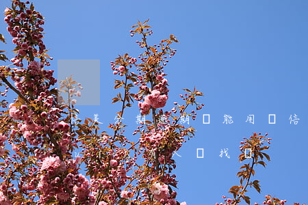 信美分期逾期還能用嗎(信美分期不還會(huì)有人來找嗎)