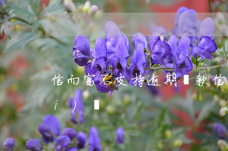 信而富不支持逾期還款(信而富一年沒(méi)還)