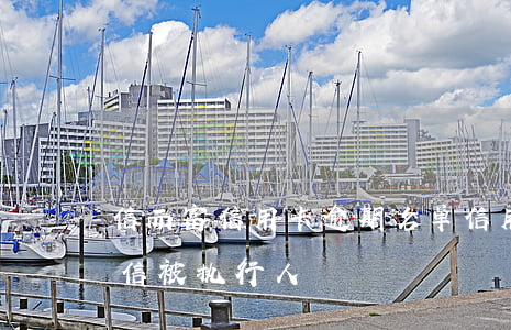 信而富信用卡逾期名单(信用卡逾期被列入失信被执行人)