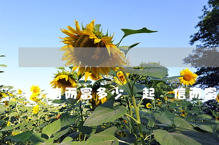信而富多少錢起訴（信而富逾期要起訴）