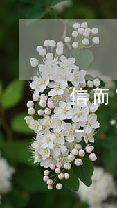 信而富欠2000會強制執(zhí)行嗎-