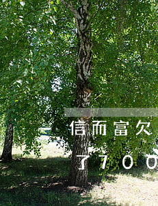信而富欠三萬逾期半年(信而富欠了200欠了700多天應(yīng)該還多少)